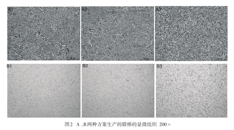 A 、B兩種方案生產(chǎn)的鍛棒的顯微組織